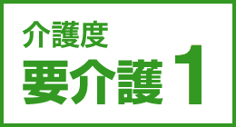 介護度要介護1